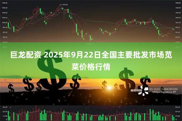 巨龙配资 2025年9月22日全国主要批发市场苋菜价格行情