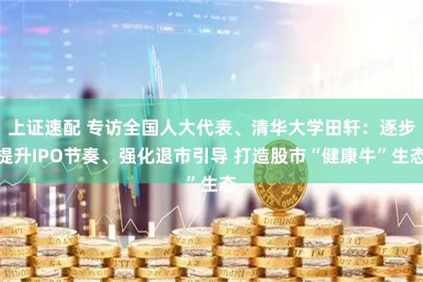 上证速配 专访全国人大代表、清华大学田轩：逐步提升IPO节奏、强化退市引导 打造股市“健康牛”生态