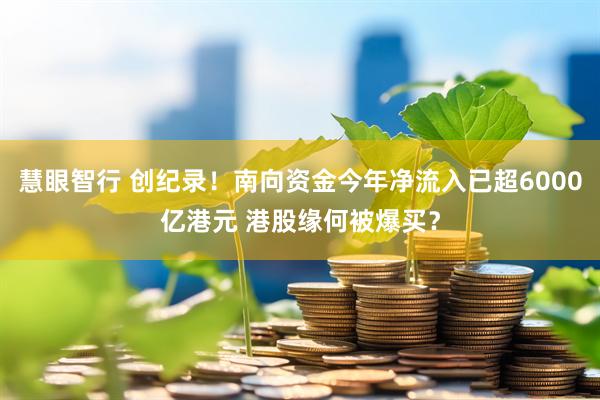 慧眼智行 创纪录！南向资金今年净流入已超6000亿港元 港股缘何被爆买？