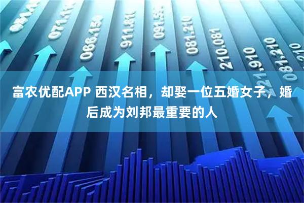 富农优配APP 西汉名相,却娶一位五婚女子,婚后成为刘邦最重要的人