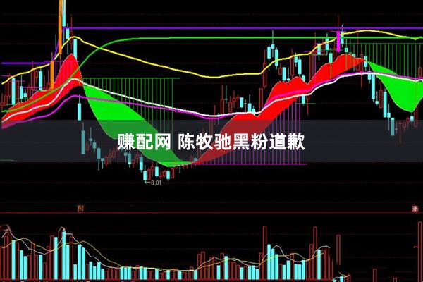 赚配网 陈牧驰黑粉道歉