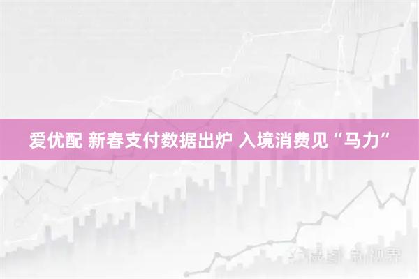 爱优配 新春支付数据出炉 入境消费见“马力”