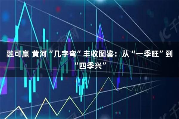 融可赢 黄河“几字弯”丰收图鉴:从“一季旺”到“四季兴”