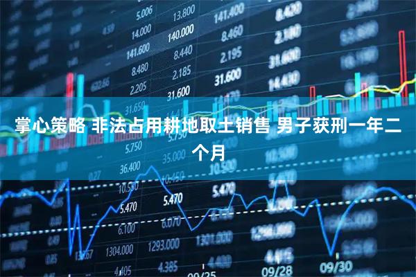 掌心策略 非法占用耕地取土销售 男子获刑一年二个月