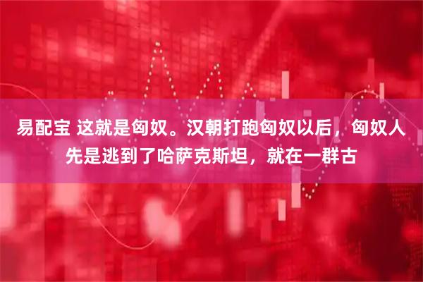 易配宝 这就是匈奴。汉朝打跑匈奴以后，匈奴人先是逃到了哈萨克斯坦，就在一群古